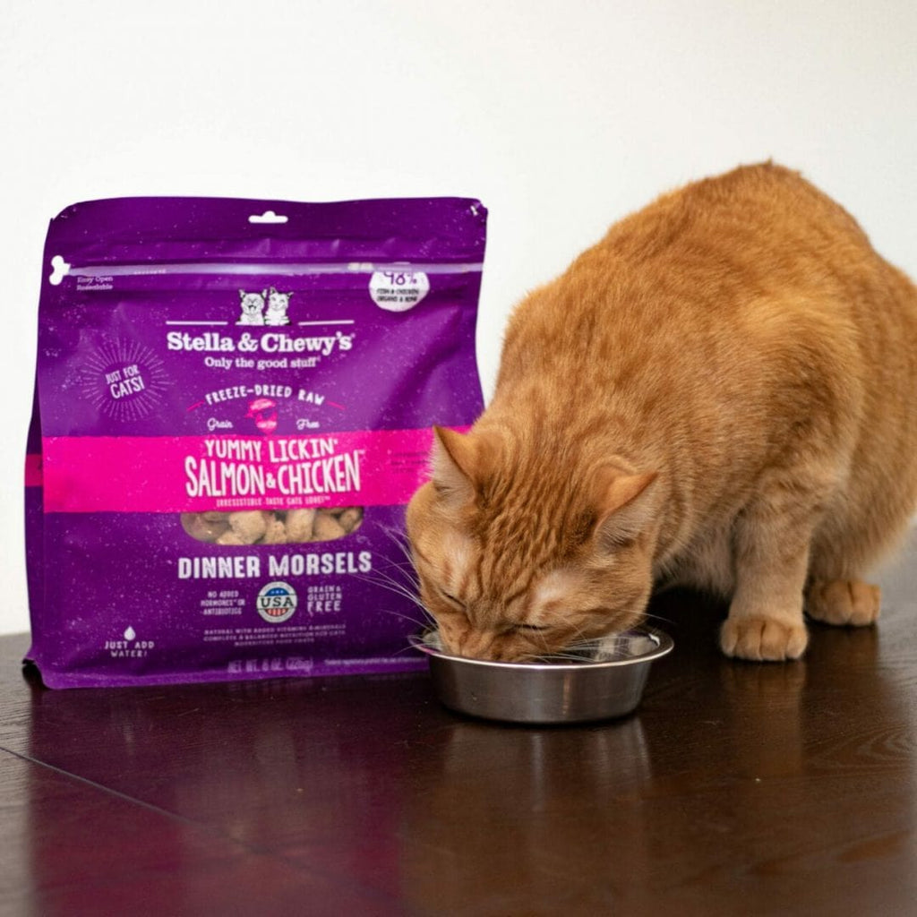 Stella & Chewy’s Freeze-Dried Raw Dinner Morsels for Cats, Yummy Lickin’ Salmon & Chicken