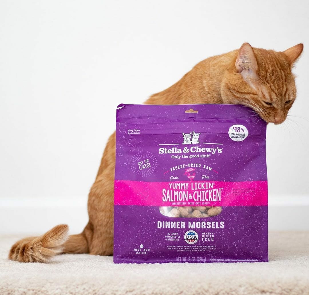 Stella & Chewy’s Freeze-Dried Raw Dinner Morsels for Cats, Yummy Lickin’ Salmon & Chicken