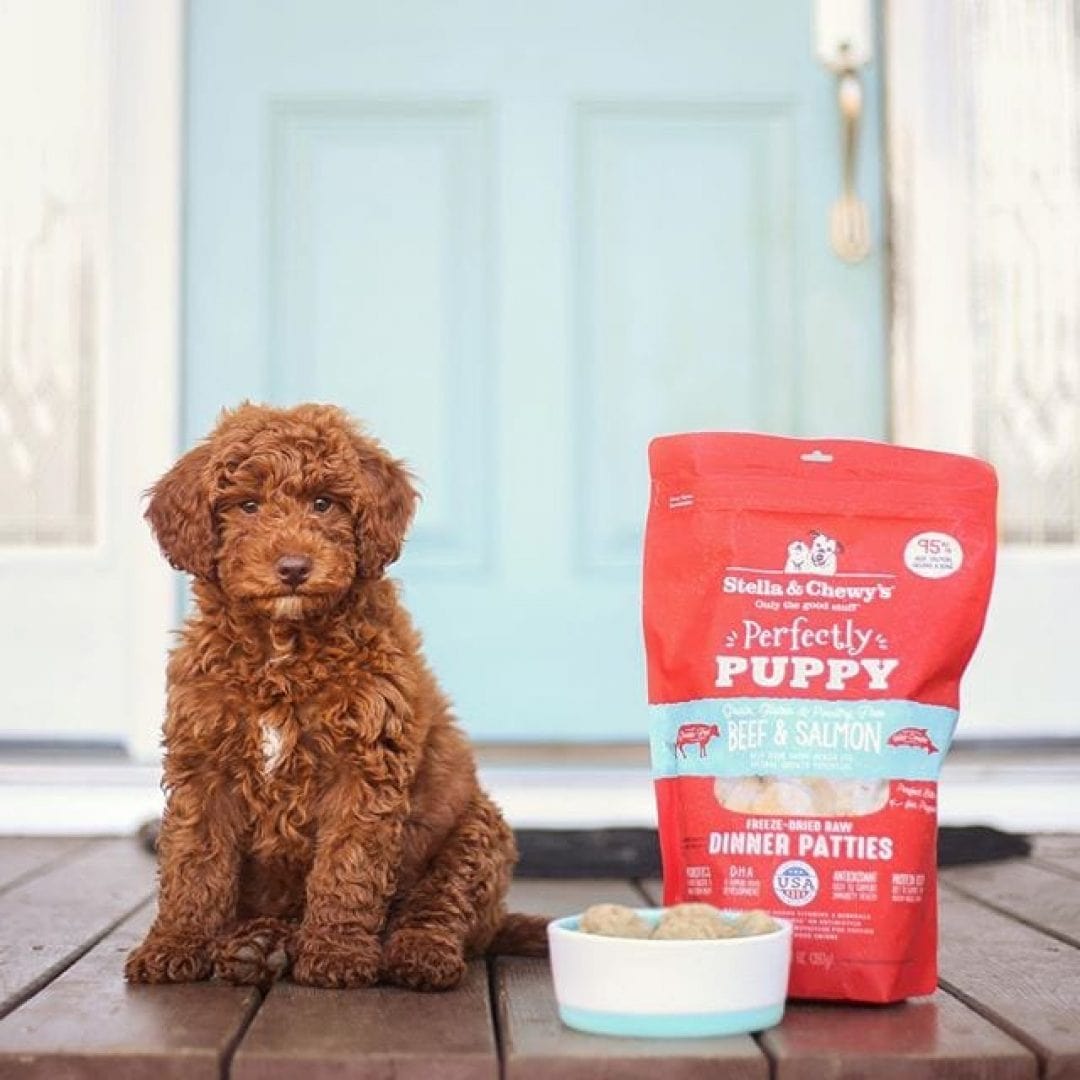 Stella & Chewy’s Freeze-Dried Raw Dinner Patties for Puppies, Perfectly Puppy Beef & Salmon