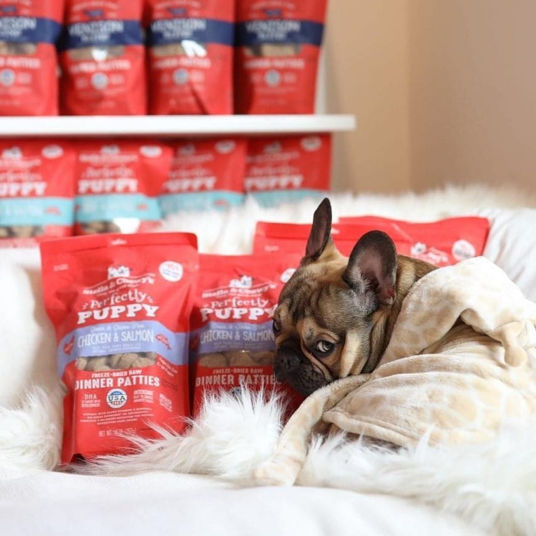 Stella & Chewy’s Freeze-Dried Raw Dinner Patties for Puppies, Perfectly Puppy Chicken & Salmon