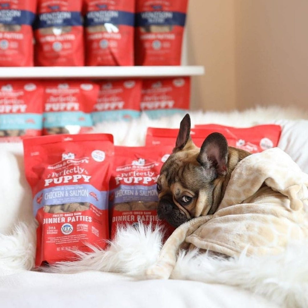Stella & Chewy’s Freeze-Dried Raw Dinner Patties for Puppies, Perfectly Puppy Chicken & Salmon