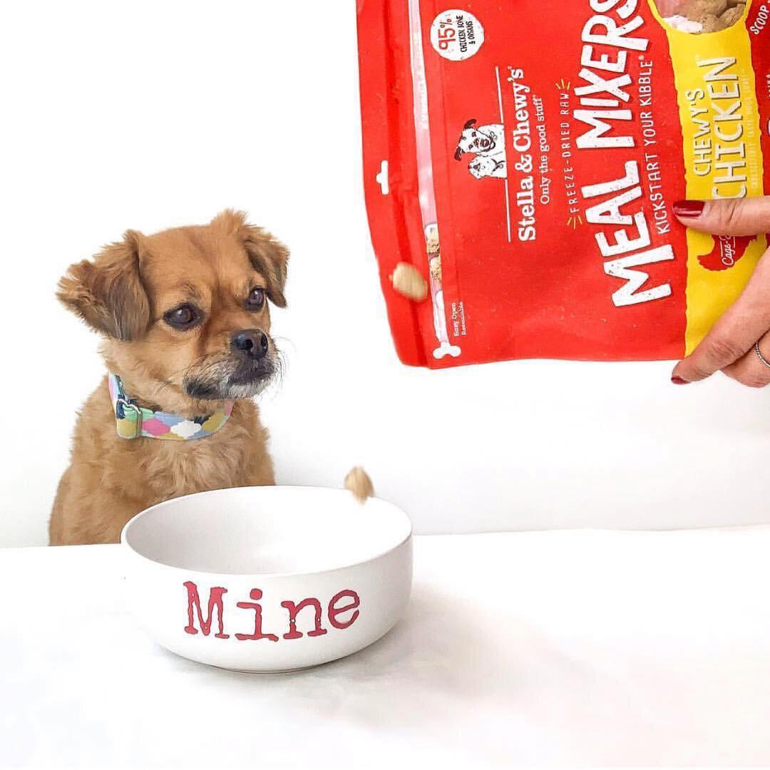 Meal mixers for dogs best sale