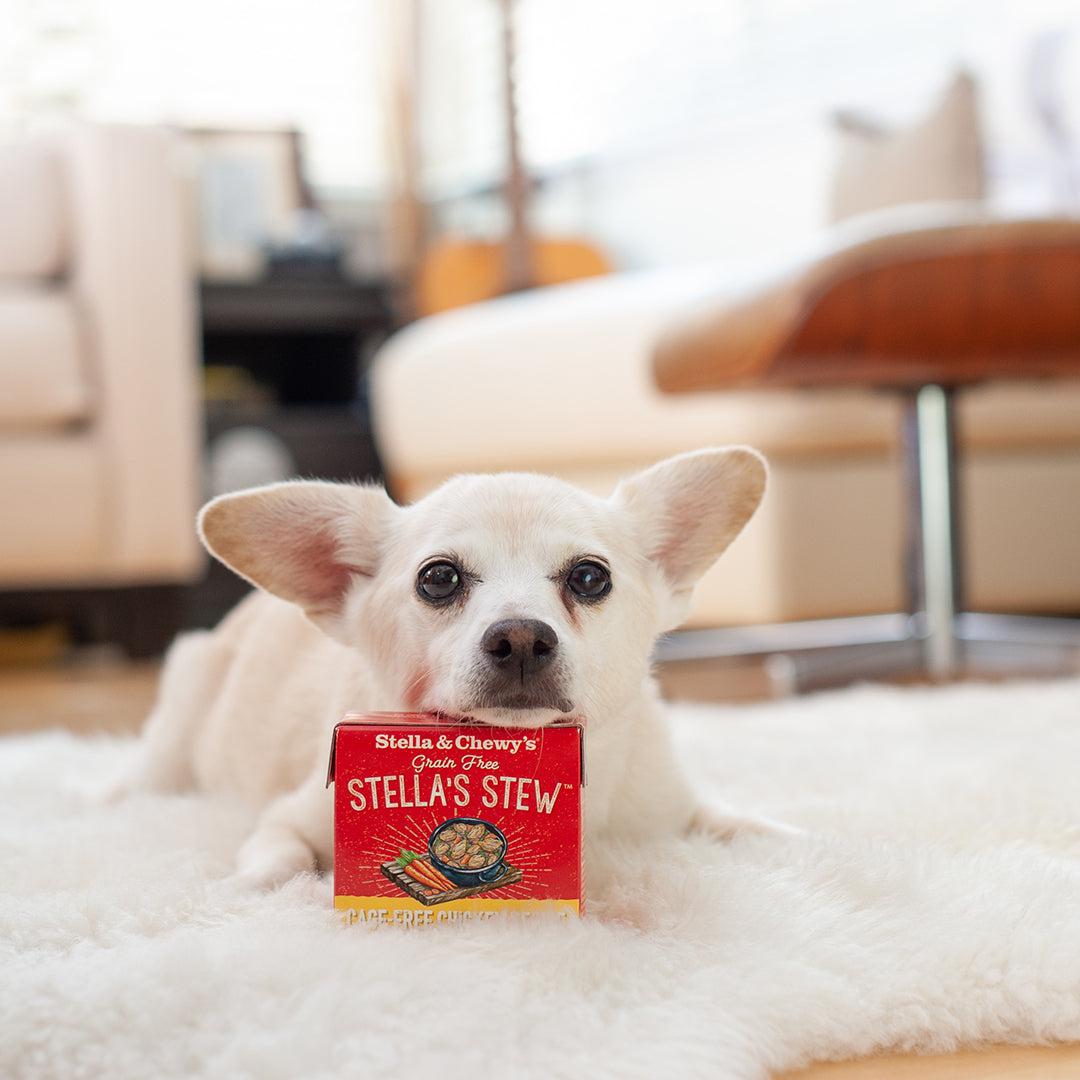 Stella & Chewy’s Grain Free Stella’s Stew for Dogs, Cage-Free Chicken Recipe, 11oz