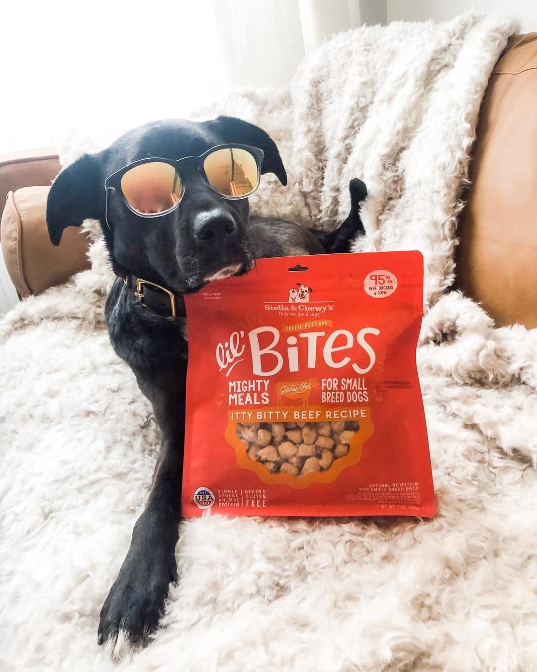 Stella & Chewy’s Lil’ Bites Freeze-Dried Raw Meals for Small Breed Dogs, Itty Bitty Beef Recipe