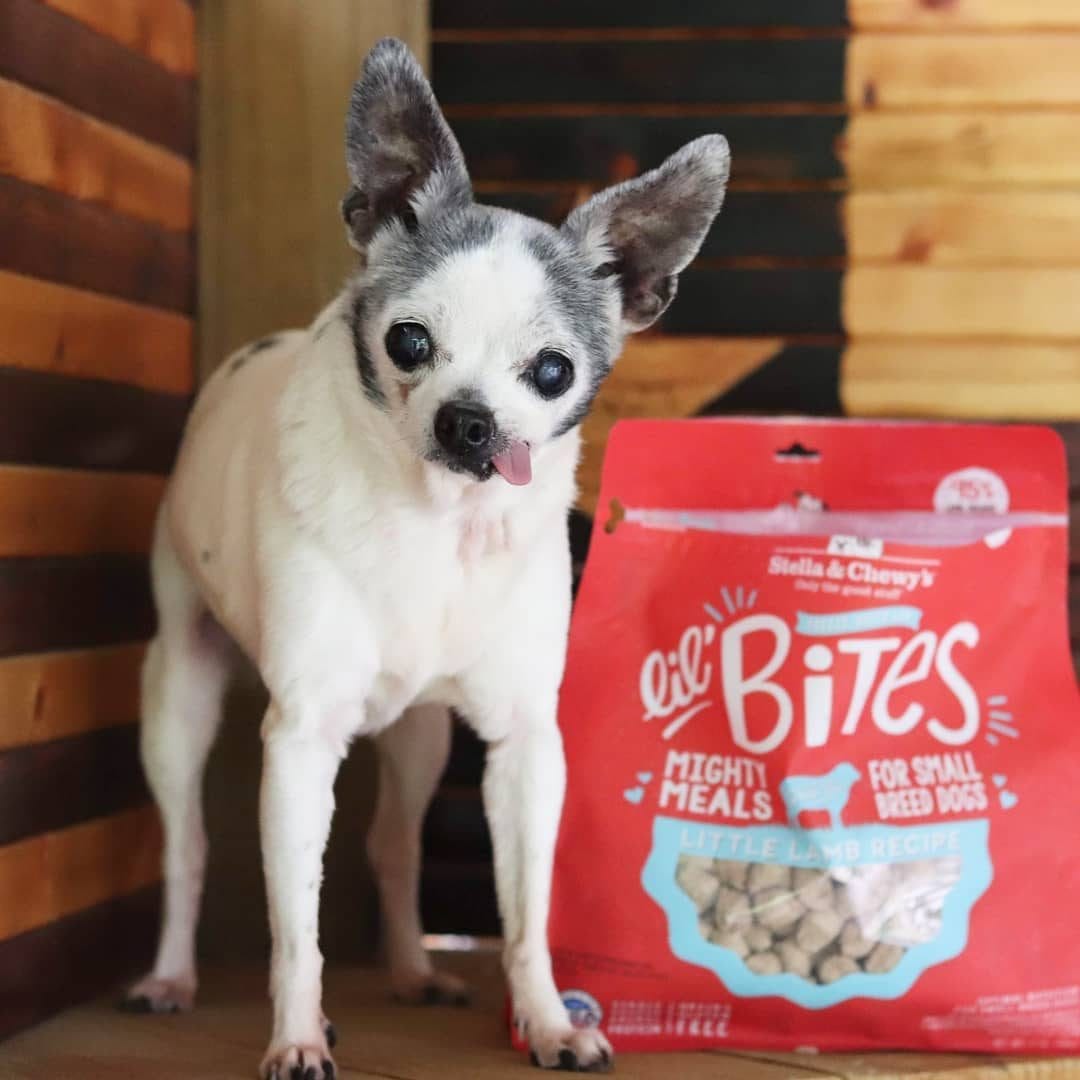 Stella & Chewy’s Lil’ Bites Freeze-Dried Raw Meals for Small Breed Dogs, Little Lamb Recipe