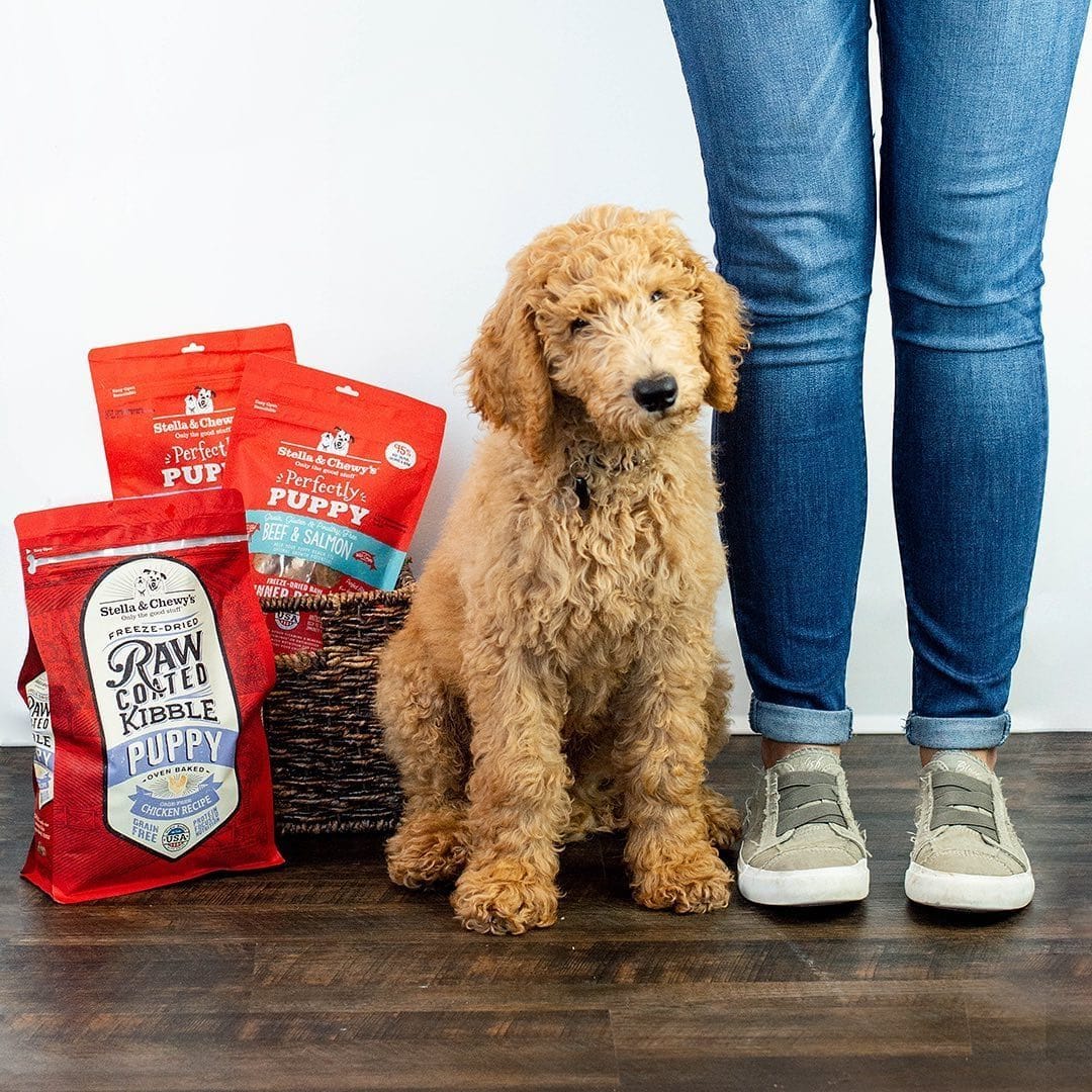 Stella & Chewy’s Raw Coated Kibble Puppy Dry Dog Food, Cage-Free Chicken