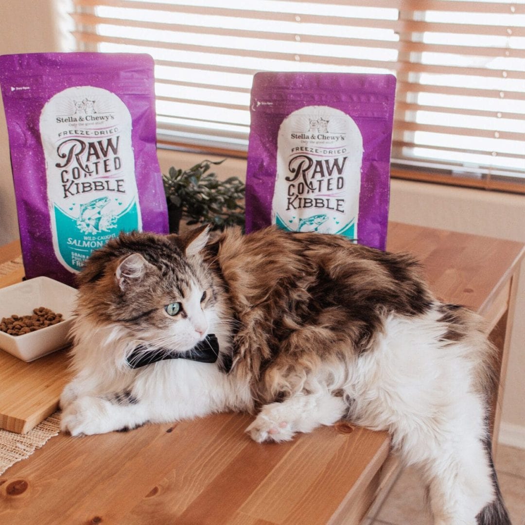 Stella & Chewy’s Raw Coated Kibble for Cats, Wild-Caught Salmon Recipe