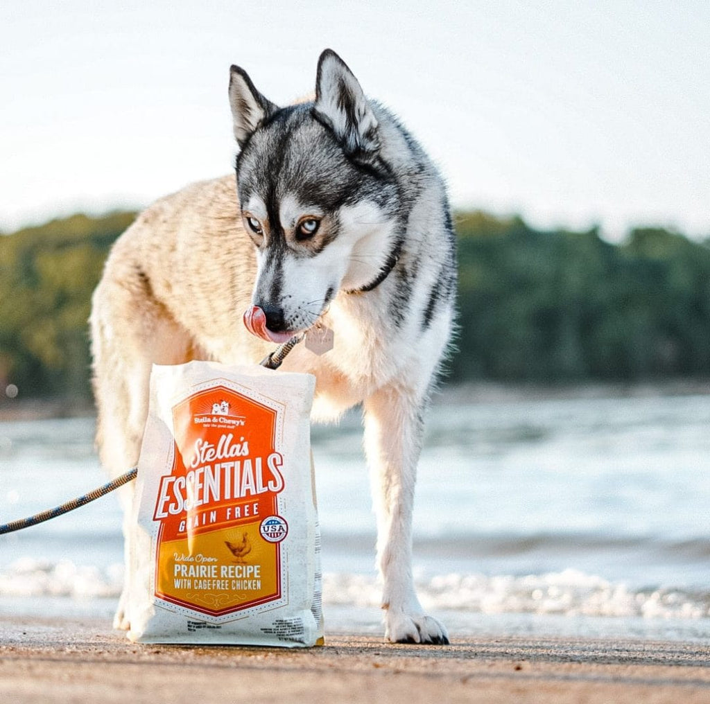 Stella & Chewy’s Stella’s Essentials Grain-Free Kibble for Dogs, Wide Open Prairie Recipe with Cage-Free Chicken