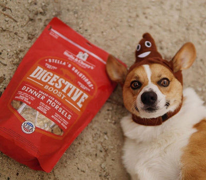 Stella & Chewy’s Stella’s Solutions Digestive Boost for Dogs, Grass-Fed Beef Recipe Dinner Morsels