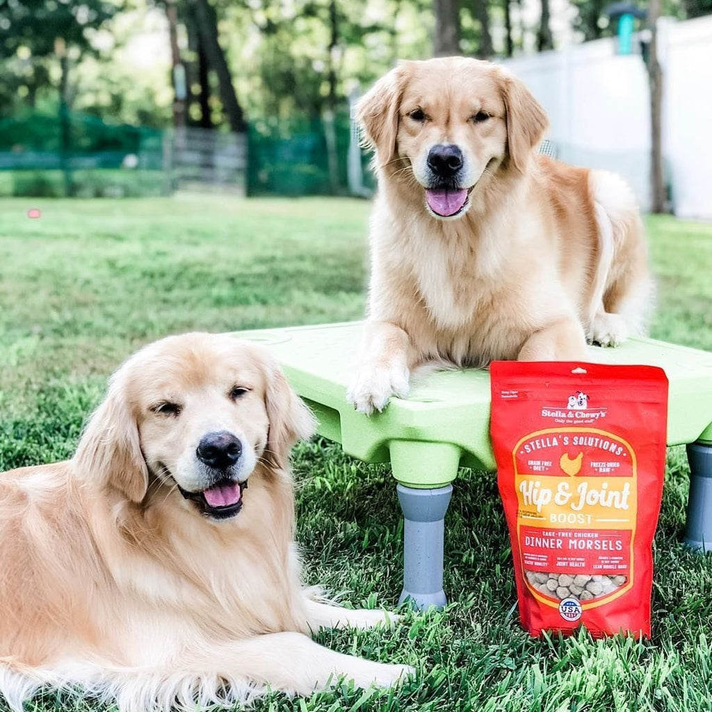 Stella & Chewy’s Stella’s Solutions Hip & Joint Boost for Dogs, Cage-Free Chicken Recipe Dinner Morsels