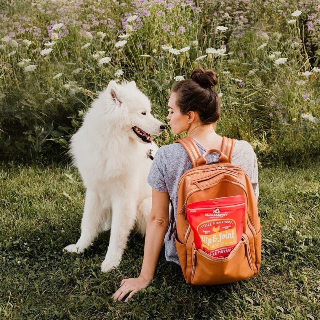 Stella & Chewy’s Stella’s Solutions Hip & Joint Boost for Dogs, Cage-Free Chicken Recipe Dinner Morsels