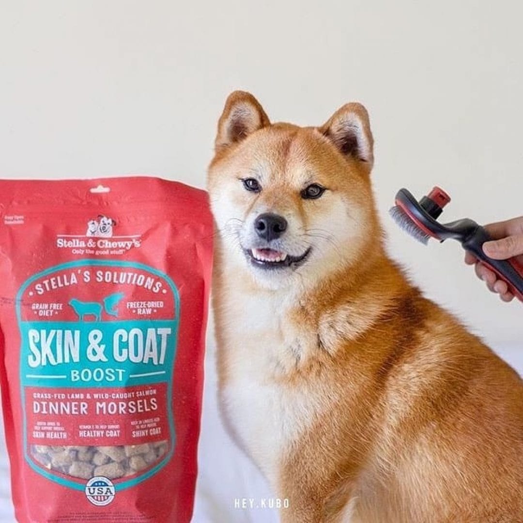 Stella & Chewy’s Stella’s Solutions Skin & Coat Boost for Dogs, Grass-Fed Lamb & Wild-Caught Salmon Recipe Dinner Morsels