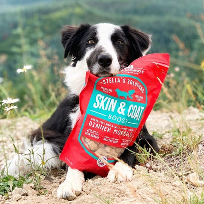 Stella & Chewy’s Stella’s Solutions Skin & Coat Boost for Dogs, Grass-Fed Lamb & Wild-Caught Salmon Recipe Dinner Morsels