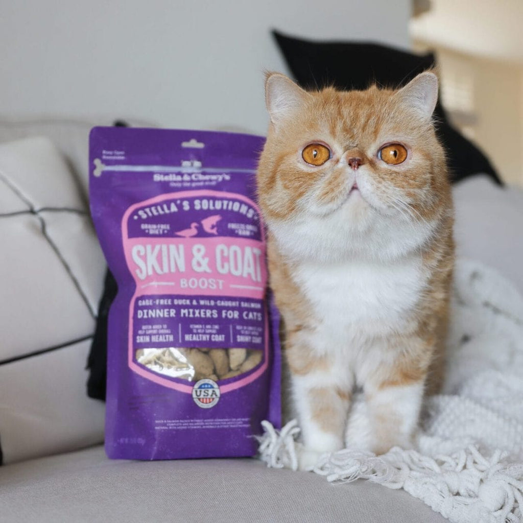 Stella & Chewy’s Stella’s Solutions for Cats Skin & Coat Support, Cage-Free Duck & Wild-Caught Salmon Recipe Freeze-Dried Dinner Morsels