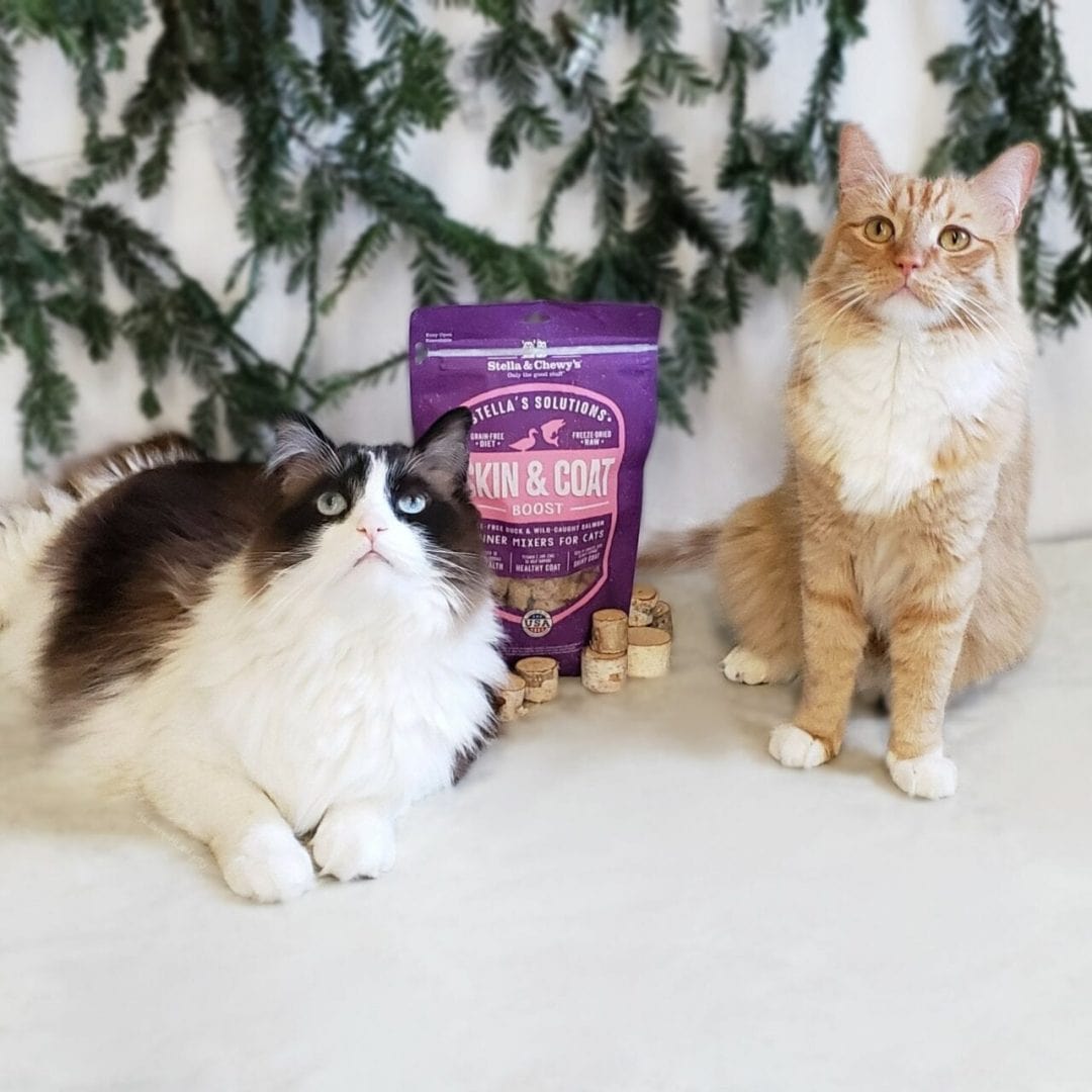 Stella & Chewy’s Stella’s Solutions for Cats Skin & Coat Support, Cage-Free Duck & Wild-Caught Salmon Recipe Freeze-Dried Dinner Morsels