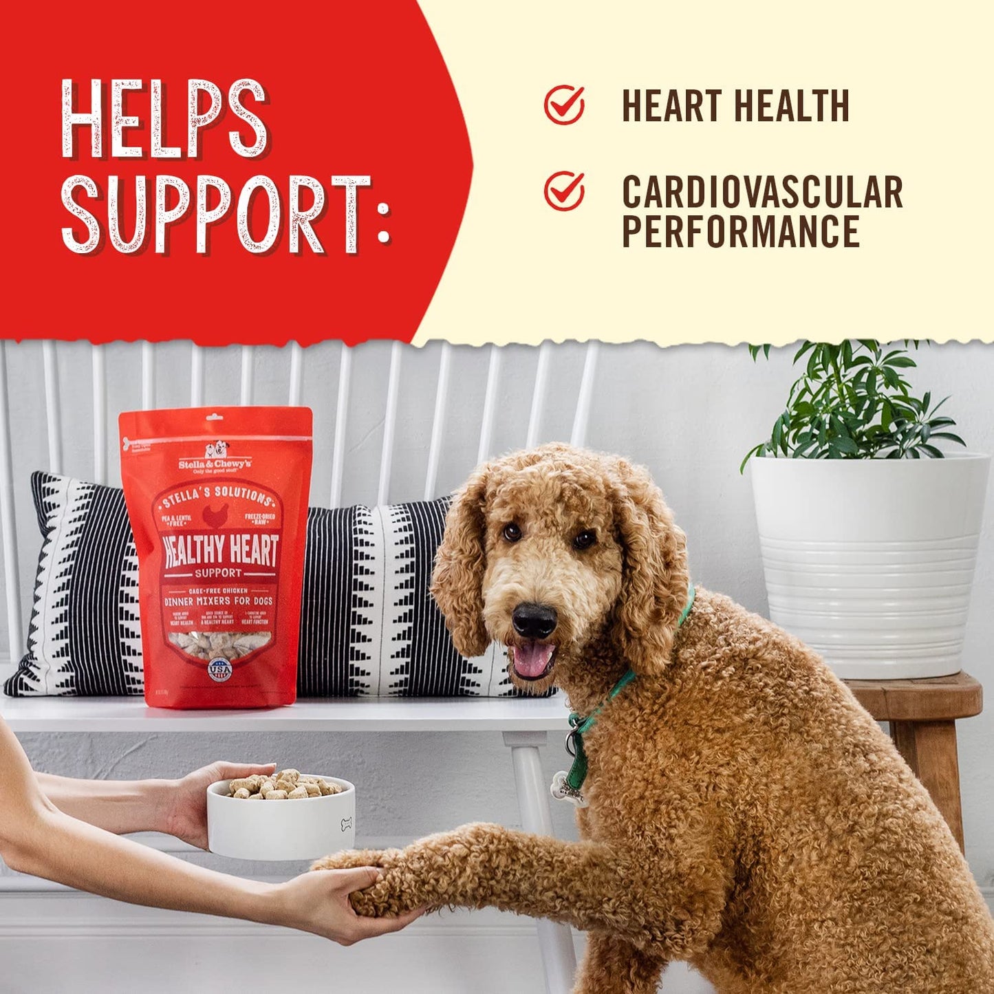 Stella & Chewy’s Stella’s Solutions for Dogs – Healthy Heart Support Cage-Free Chicken Dinner Morsels, 13oz