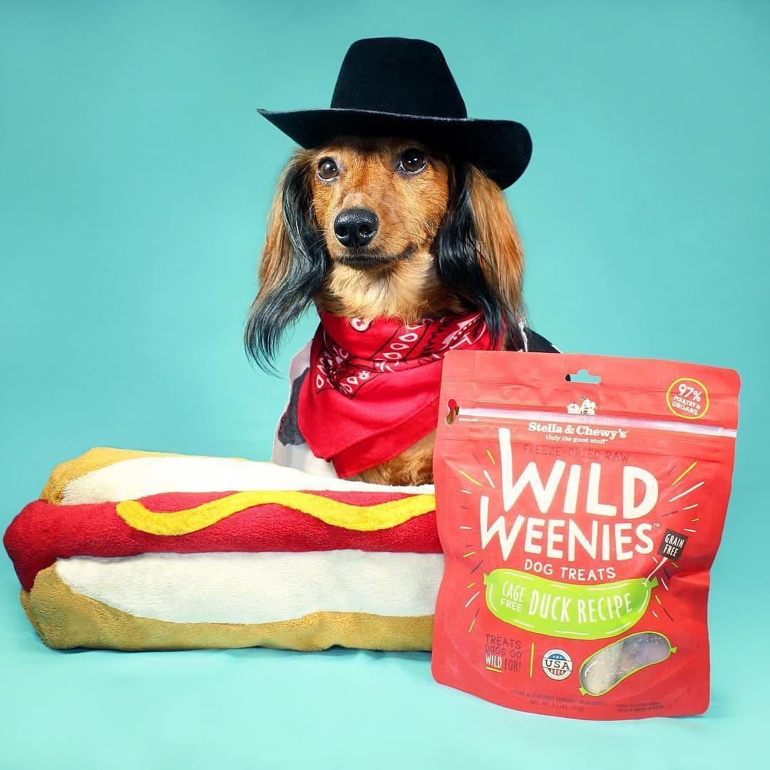 Stella & Chewy’s Wild Weenie Dog Treats, Duck Recipe, 3.25oz