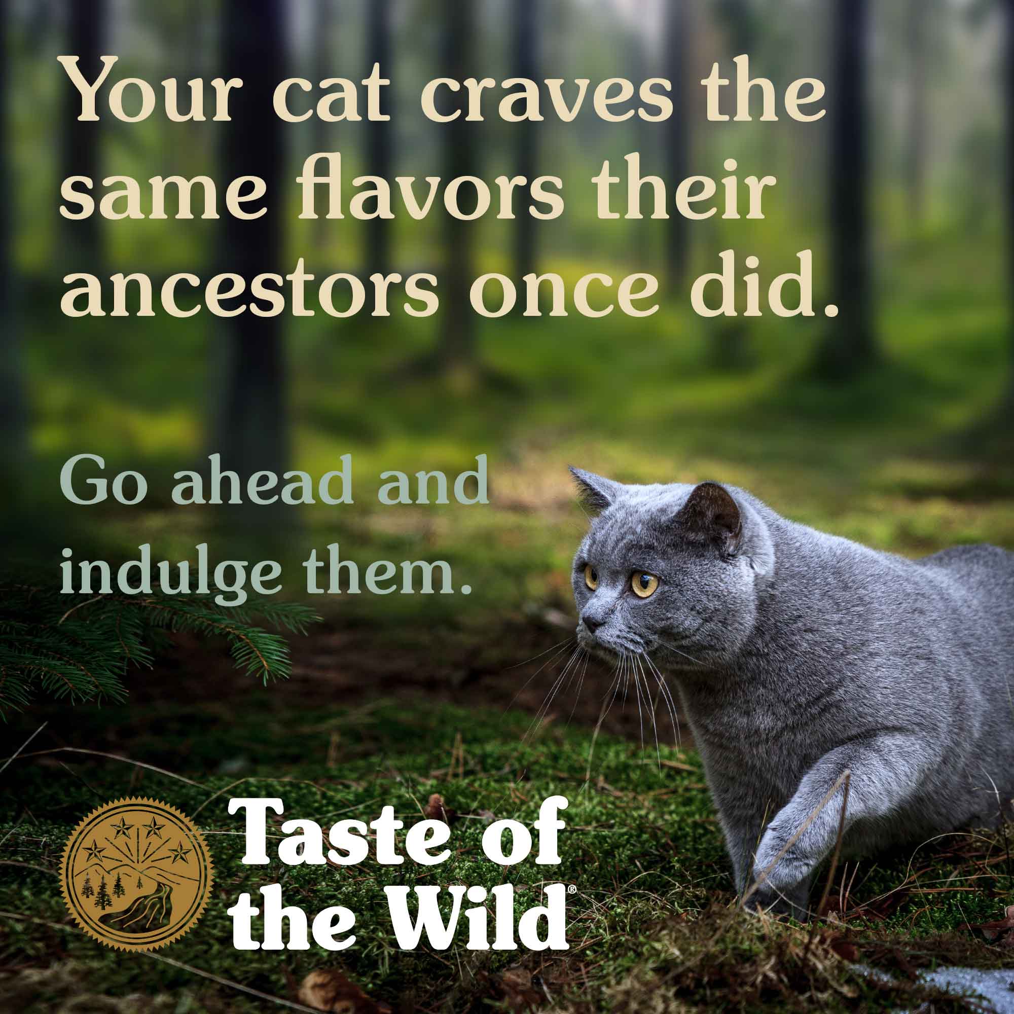 Taste of the wild canyon store river feline