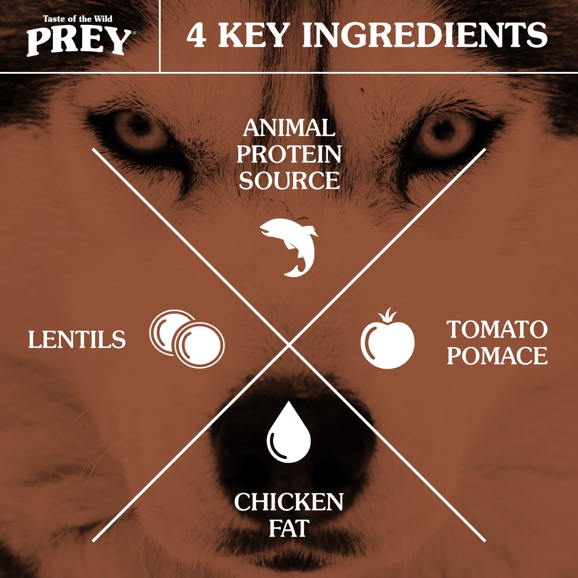 Taste of the Wild PREY Trout Limited Ingredient Formula for Dogs