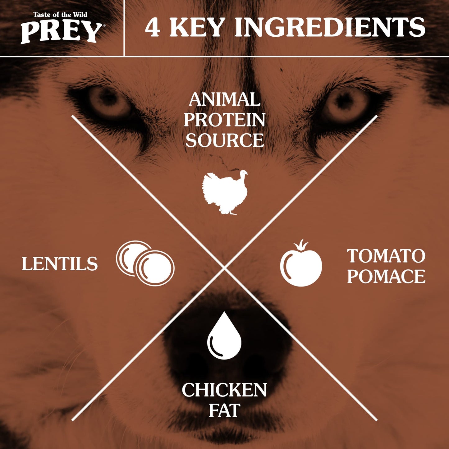 Taste of the Wild PREY Turkey Limited Ingredient Formula for Dogs
