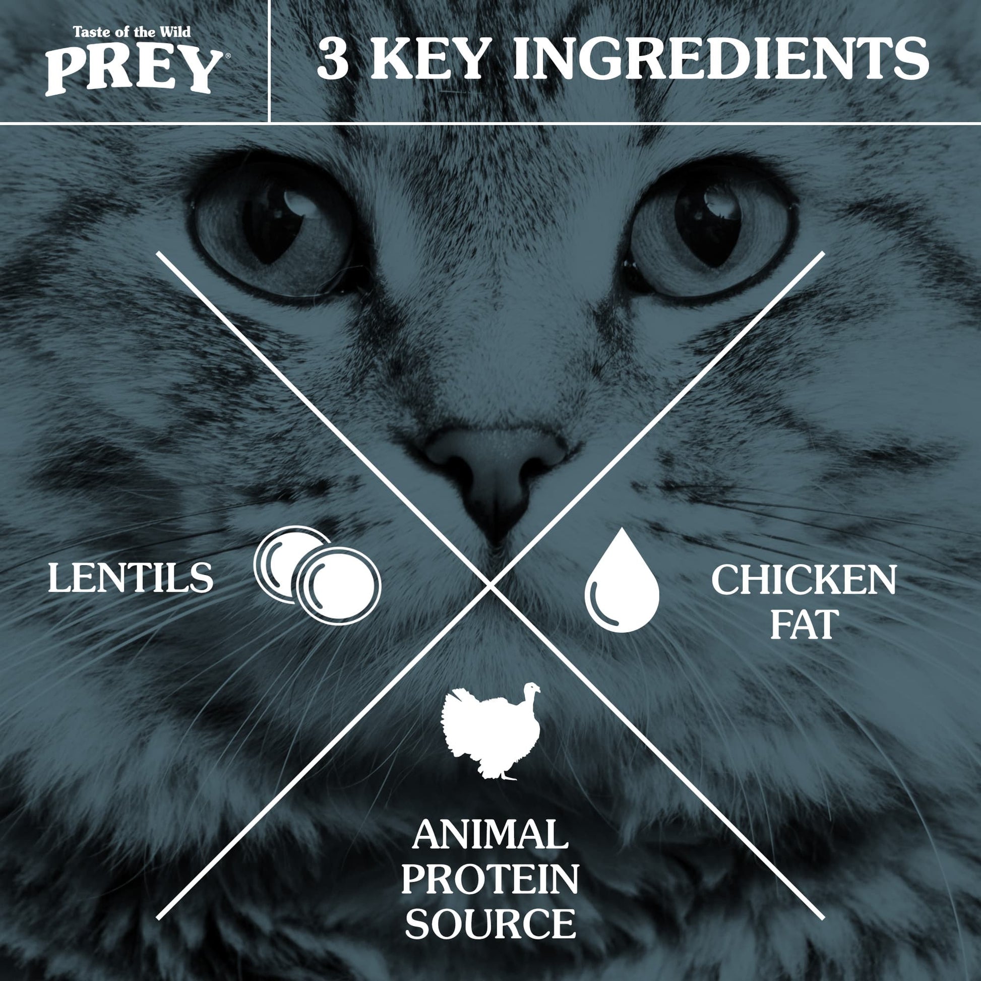 Taste of the Wild Prey Turkey Limited Ingredient Formula for Cats