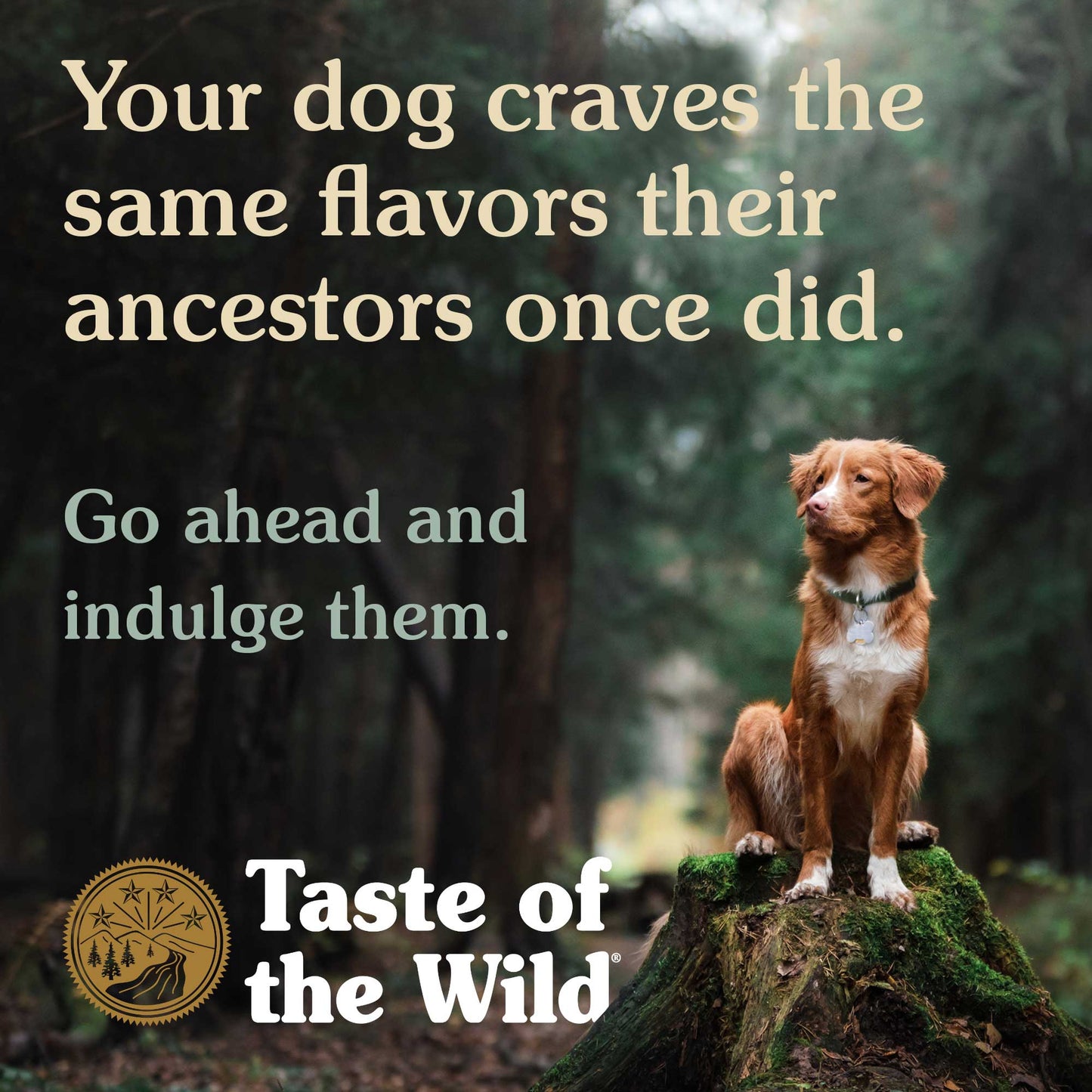 Taste of the Wild Sierra Mountain Canine Formula for Dogs, 390g