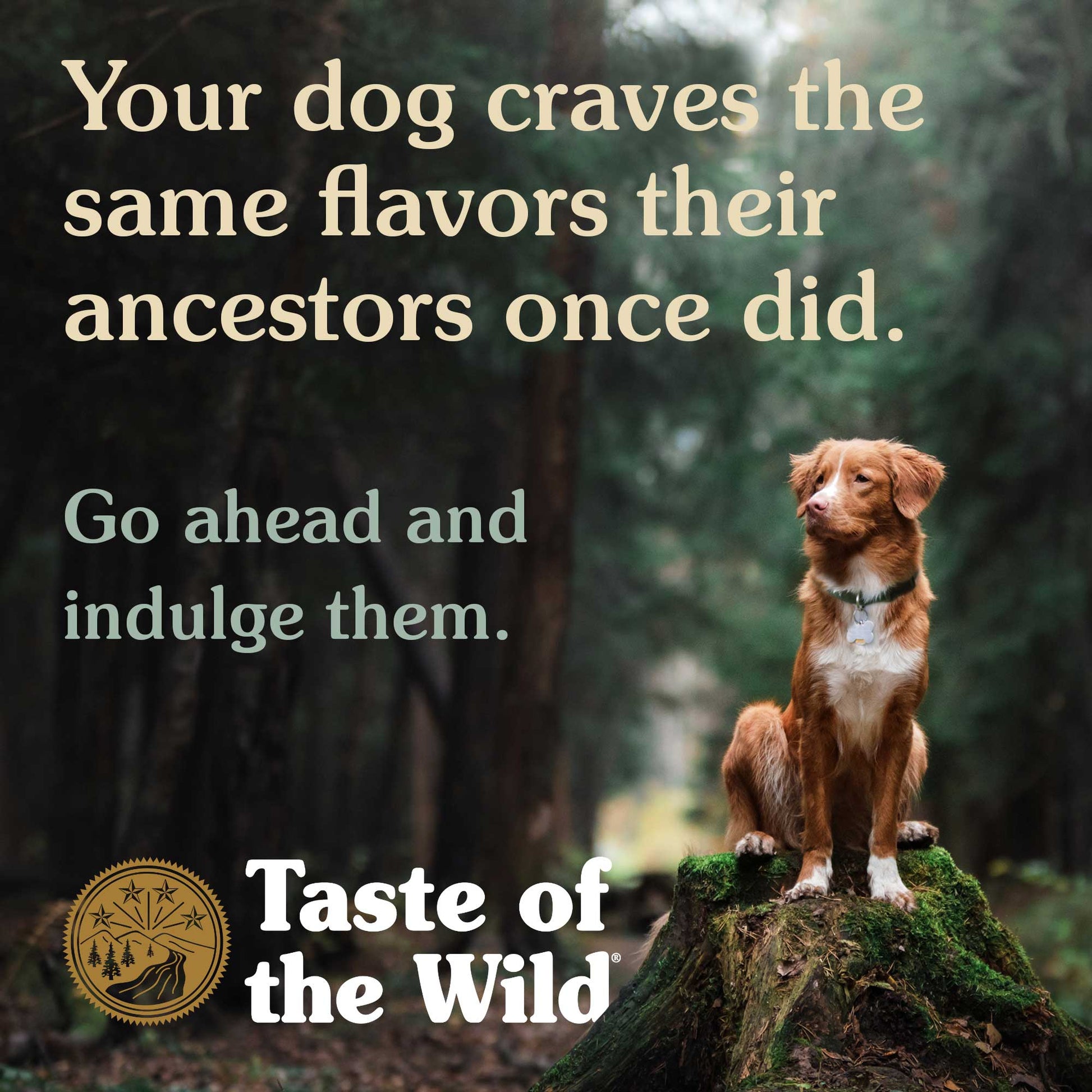Taste of the Wild Wetlands Canine Formula for Dogs, 390g