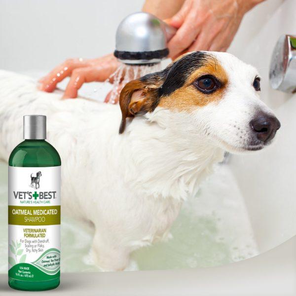 Vet’s Best Oatmeal Medicated Dog Shampoo (16 oz)