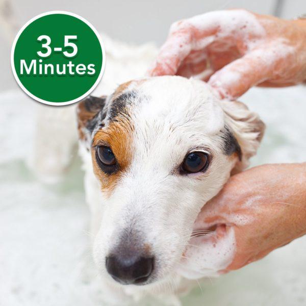 Vet’s Best Oatmeal Medicated Dog Shampoo (16 oz)