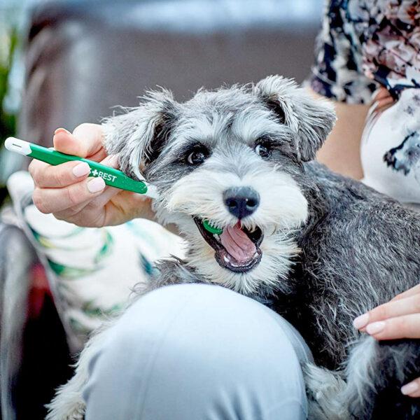 Vet's Best Triple Headed Toothbrush for Dogs