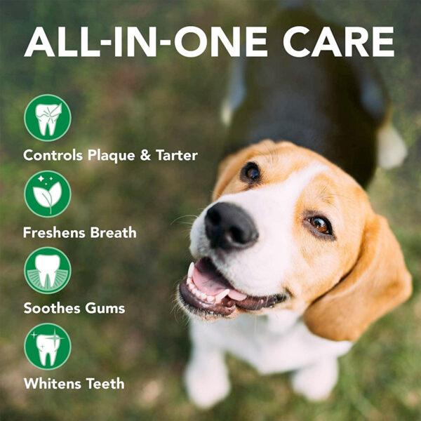 Vet's Best Triple Headed Toothbrush for Dogs