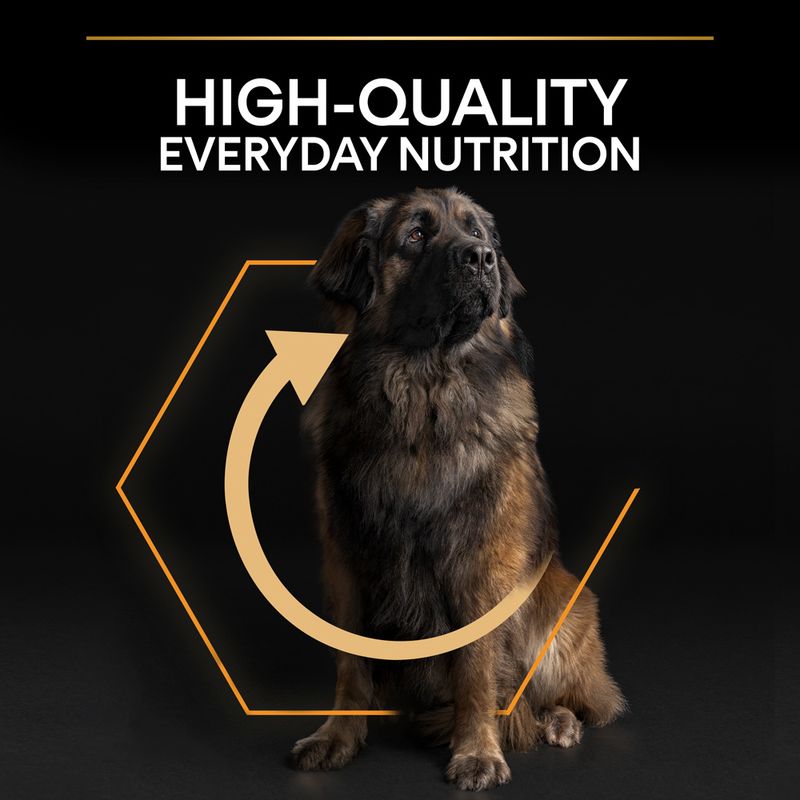 PURINA® Pro Plan® Everyday Nutrition Large Robust Adult Dry Dog Food with Chicken