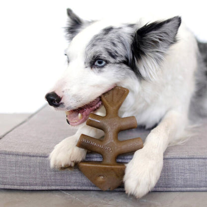 Benebone Fishbone Dog Toy