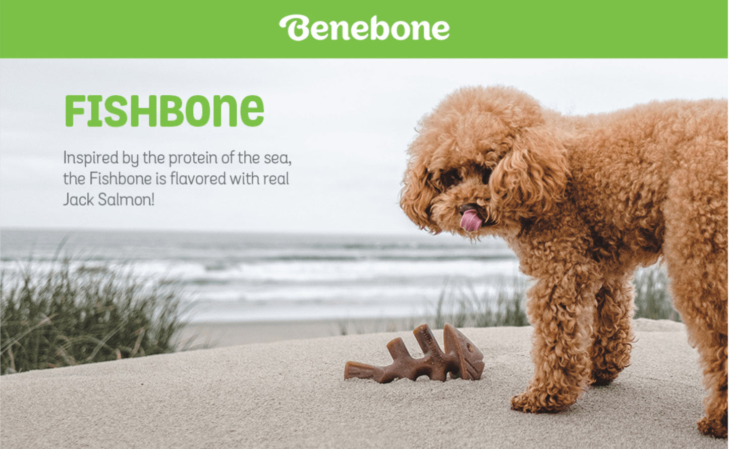 Benebone Fishbone Dog Toy