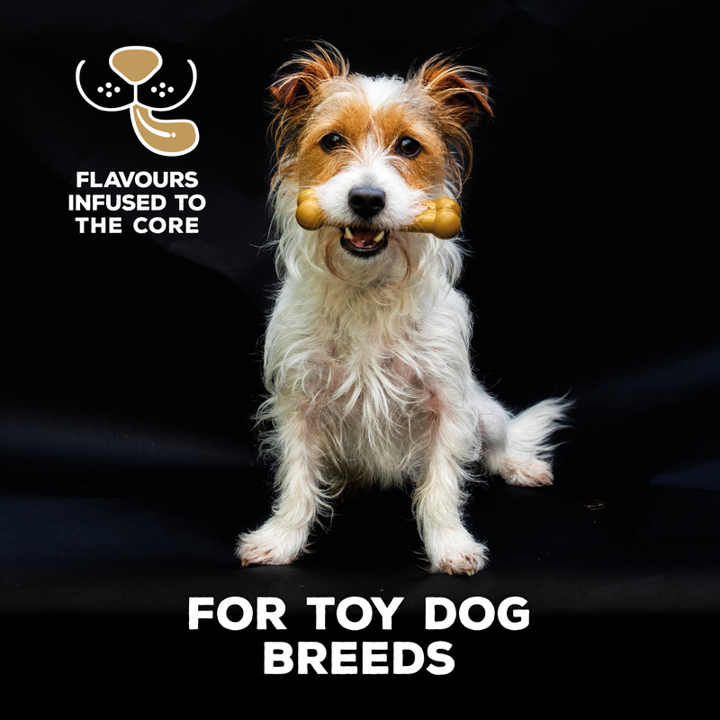 TastyBone Nylon Toy Dog