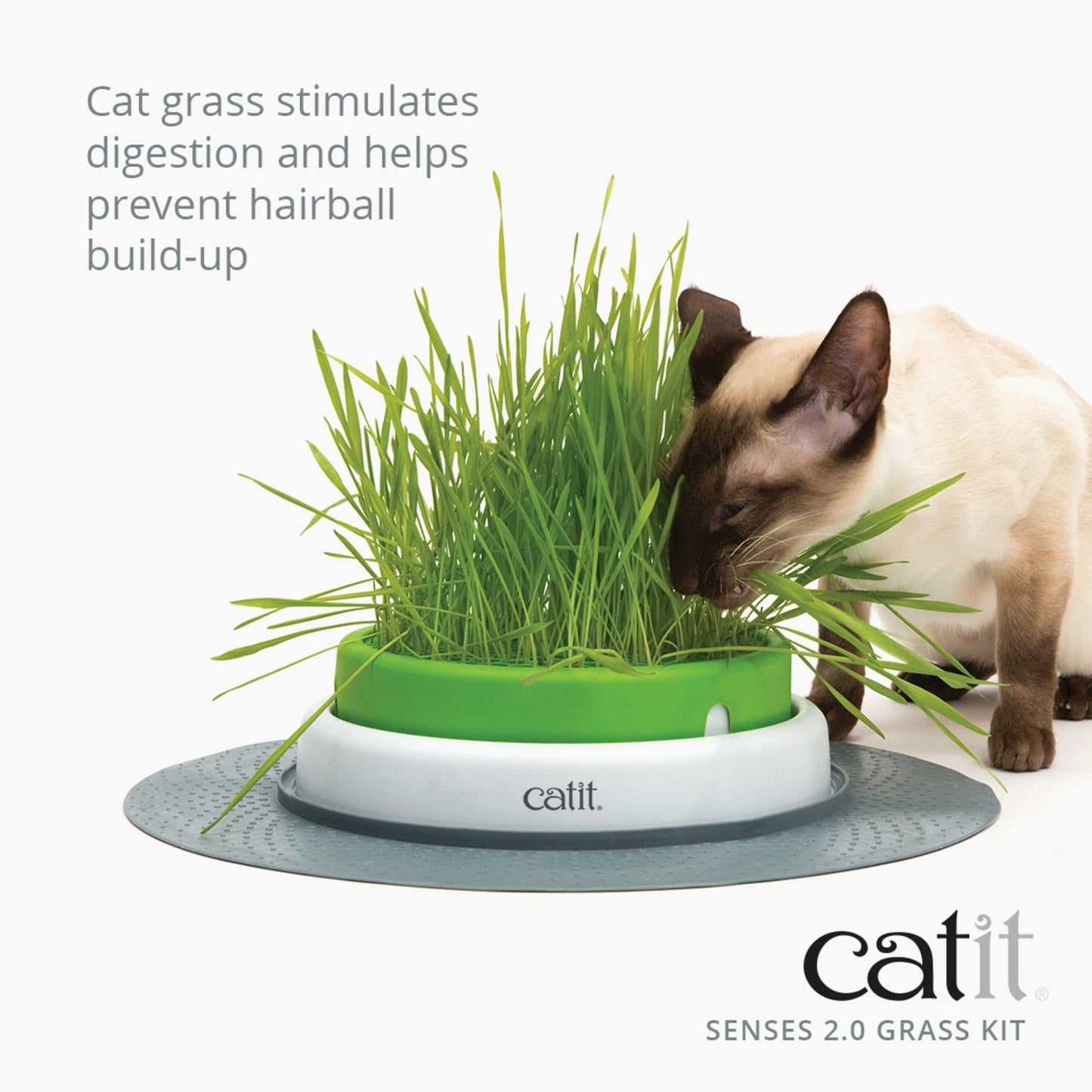 Catit Cat Grass Kit - set of 3