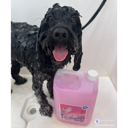 Mutneys Furry Godmother Shampoo