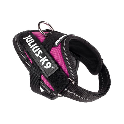 Julius-K9 IDC Powerharness