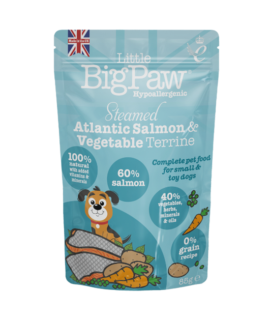 Little BigPaw Traditional Salmon & Vegetable Dinner for Small Dogs, 150 g pouch