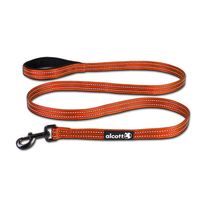 Alcott Visibility Lead