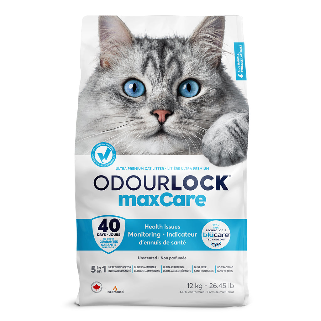 Intersand Odourlock Maxcare