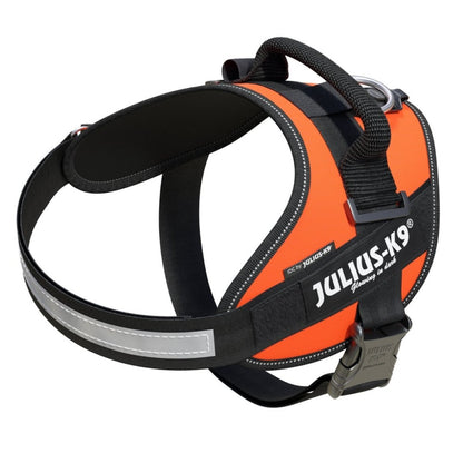 CIDC High Visibility Powerharness - UV Orange