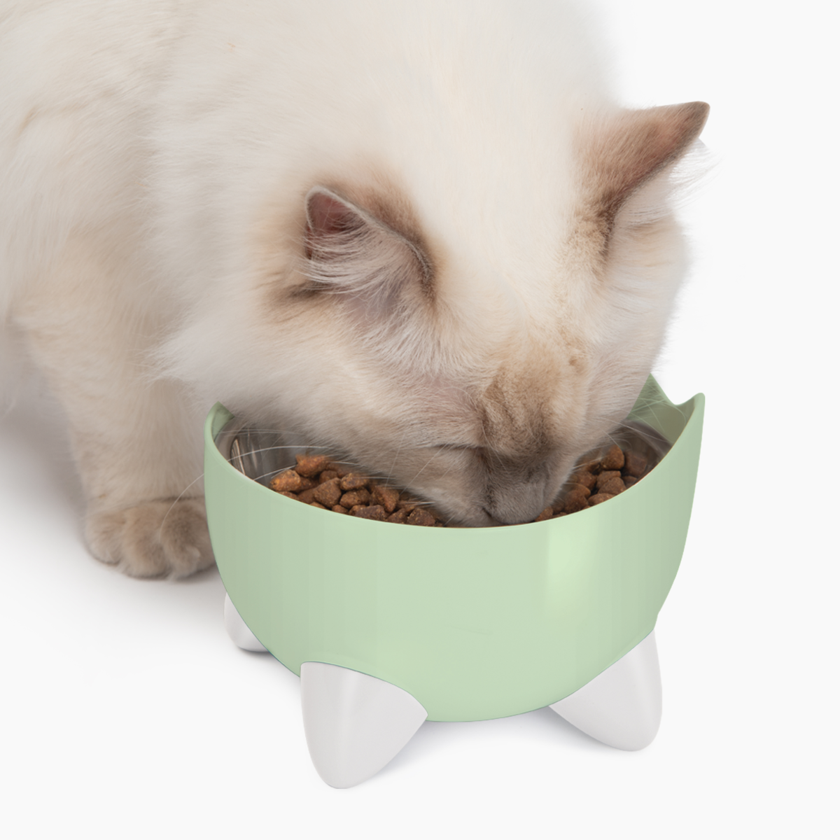 CatIt Pixi Drinking Fountain - Combo Pack/Green