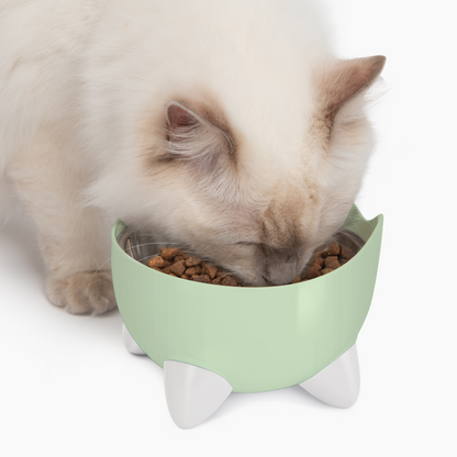 CatIt Pixi Drinking Fountain - Combo Pack/Green