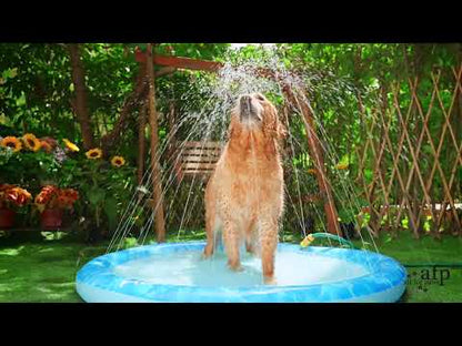 All For Paws  Chill Out Sprinkler Fun Mat