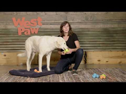 Westpaw Tux Treat Toy