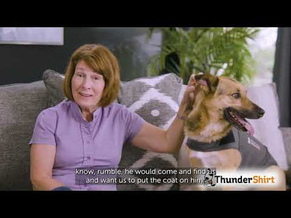 Thundershirt Dog