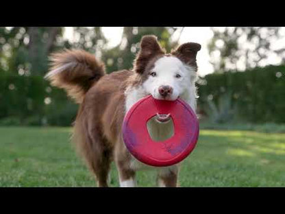 Westpaw Sailz Seaflex Frisbee Disc Dog Toy - Large