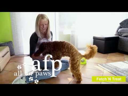 All For Paws  Interactive Fetch N Treat