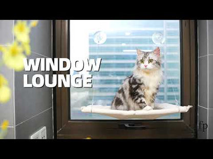 Window Lounger